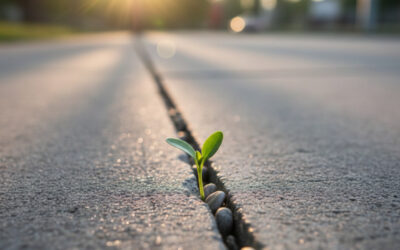 Achtsamkeit – Warum kein Weg an ihr vorbeiführt