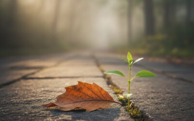 Missverständnis Akzeptanz – Wenn das „Ja“ zum bloßen Werkzeug wird