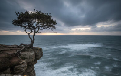 Weisheit eines ungesicherten Lebens